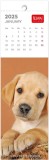 Calendar 2025 - Semn de carte - Puppies | Legami
