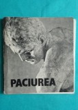 Ion Frunzetti &ndash; Dimitrie Paciurea ( album arta )
