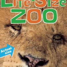 More Life-Size Zoo: Lion, Hippopotamus, Polar Bear and More--An All New Actual-Size Animal Encyclopedia