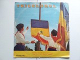 Disc vinil TRICOLORUL - cantece patriotice, pionieri, muzica corala, material didactic in anii 80