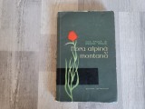 Flora alpina si montana ( indrumator botanic) de Ana Pauca,Stefania Roman