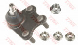 Pivot SKODA ROOMSTER (5J) (2006 - 2015) TRW JBJ816