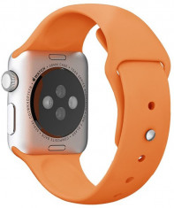 Curea iUni compatibila cu Apple Watch 1/2/3/4/5/6/7, 38mm, Silicon, Orange foto