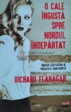O cale ingusta spre nordul indepartat - 2019 - Richard Flanagan (C84), Litera