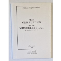 PRIN CAMPULUNG SI PE MUSCELELE LUI ( SI CU O HARTA A REGIUNII ) de NICOLAE TH. STEFANESCU , 2012 *EDITIE ANASTATICA