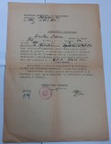 Dispozitie de repartizare , Cluj, 1954