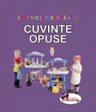 Sunt mic si vreau sa aflu - Cuvinte opuse, Aramis