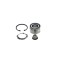 Set rulment roata RENAULT MODUS GRAND MODUS F JP0 BTA H1R023BTA