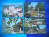 HOPCT LOT 2762 -IP--ARAD--4 CARTI POSTALE-CIRCULATE, Circulata, Printata