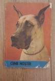 CAINII NOSTRI. BULETIN DOCUMENTAR Nr. 4/ANUL al IX-lea
