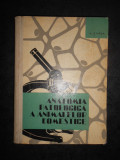 Cumpara ieftin V. CIUREA - ANATOMIA PATOLOGICA A ANIMALELOR DOMESTICE (1964, ditie cartonata)