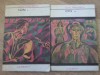 Ion Vol. 1-2, Liviu Rebreanu - Roman, Editura Tineretului 1968, Colectia Lyceum, Paperback
