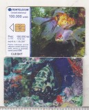 bnk card Cartela telefonica 2005 - Fauna marina 3 - RO-ROM-0290