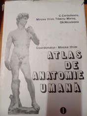 AS - MIRCEA IFRIM, GH.NICULESCU - ATLAS DE ANATOMIE UMANĂ (1,2,3 VOL)