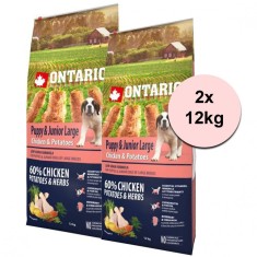 ONTARIO Puppy &amp;amp;amp; Junior Large - chicken &amp;amp;amp; potatoes 2 x 12 kg foto