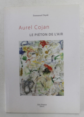 AUREL COJAN - LE PIETON DE L &amp;#039;AIR par EMMANUEL DAYDE , 2009 foto