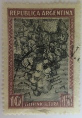 Argentina: Grapes, 1936 foto