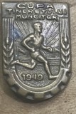 Insigna ambutisata Insigna Veche 1949 Cupa Tineretului Muncitor, Sport Comunism RPR / Vintage 1949 Romanian Communist Worker Youth Cup Sports Pin