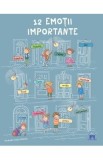 12 emotii importante