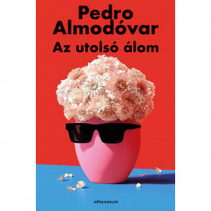 Az utolsó álom - Pedro Almodóvar