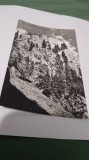 CARTE POSTALA MUNTII APUSENI -CETATILE PONORULUI CIRCULATA, Fotografie