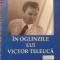 In oglinzile lui Victor Teleuca, Theodor Codreanu, 2017, 300 pag, stare f buna