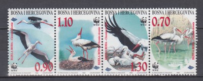BOSNIA HERTEGOVINA 1998 FAUNA PROTEJATA WWF BARZA SERIE MNH foto