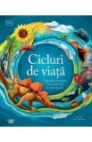 Cicluri de viata. Tiparele evolutiei in univers si in lumea vie