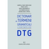 Dictionar de termeni gramaticali - Gabriela Pana Dindelegan