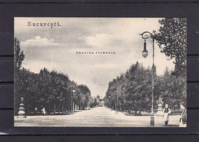 BUCURESTI GRADINA CISMIGIU foto