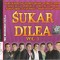 Sukar Dilea Vol. 1, CD