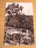 QW25 MS - Carte postala - tematica manastiri - vedere - Manastirea Horezu 1