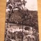 QW25 MS - Carte postala - tematica manastiri - vedere - Manastirea Horezu 1