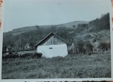 Fotografie, culturi in terasa, Romania, peioada intrebelica