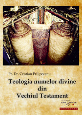 Teologia numelor divine din Vechiul Testament - Pr. Dr. Cristian Prilipceanu foto