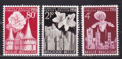 BELGIA 1955 FLORA ARHITECTURA SERIE MNH foto
