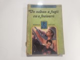 Un nebun a fugit cu o fecioara de Elefterie Voiculescu