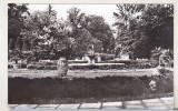 bnk cp Buzias - Vedere din parc - uzata