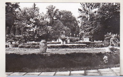 bnk cp Buzias - Vedere din parc - uzata foto