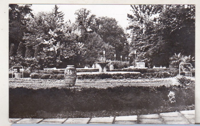 bnk cp Buzias - Vedere din parc - uzata
