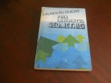 Prin Labirintul Geometriei - Laurentiu Duican,1990 Carte Noua