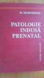 Patologie indusa prenatal- M. Geormaneanu