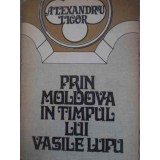 PRIN MOLDOVA IN TIMPUL LUI VASILE LUPU-ALEXANDRU LIGOR-224229