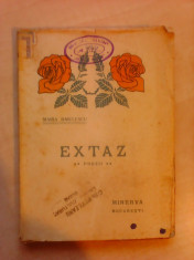 Extaz - MARIA BAIULESCU , 1908 foto