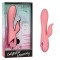 Vibrator Rabbit CalExotics Pasadena Player, Roz Corai
