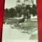 Ilustrata Castelul Bran circulat 1960