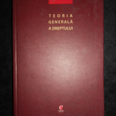 Gheorghe Avornic - Teoria generala a dreptului (2004, editie cartonata)