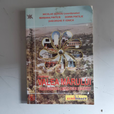 Comuna Valea Marului - studiu monografic-N. Edroiu , Ghe.P.Ionica - dedicatie