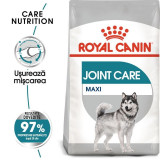 Cumpara ieftin Royal Canin Maxi Joint Care Adult hrana uscata caine, ingrijirea articulatiilor