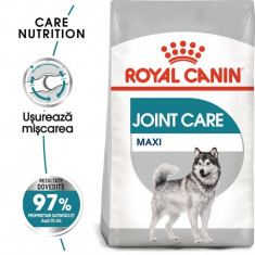 Royal Canin Maxi Joint Care Adult hrana uscata caine, ingrijirea articulatiilor